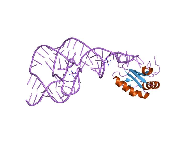 File:PDB 1sjf EBI.jpg