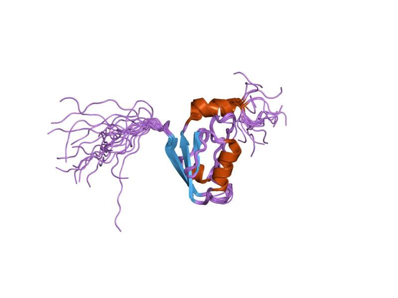 File:PDB 1um7 EBI.jpg