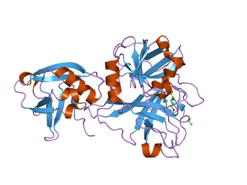 File:PDB 1z8g EBI.jpg