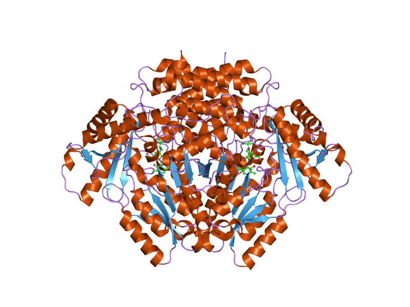 File:PDB 2okj EBI.png