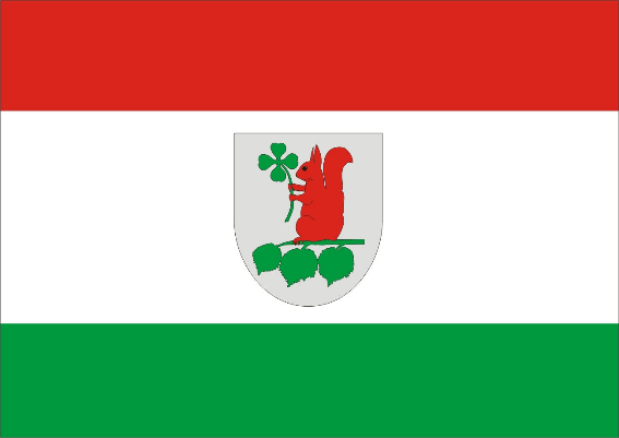 File:POL gmina Elbląg flag.png