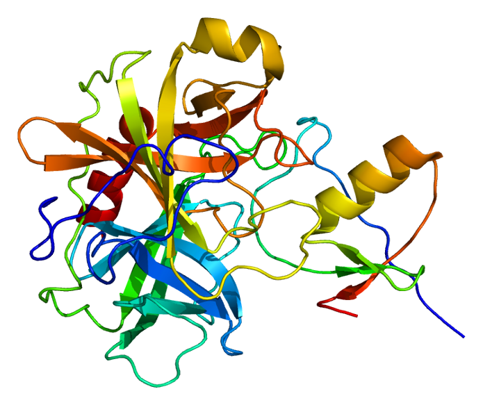 File:Protein SPINK1 PDB 1cgi.png