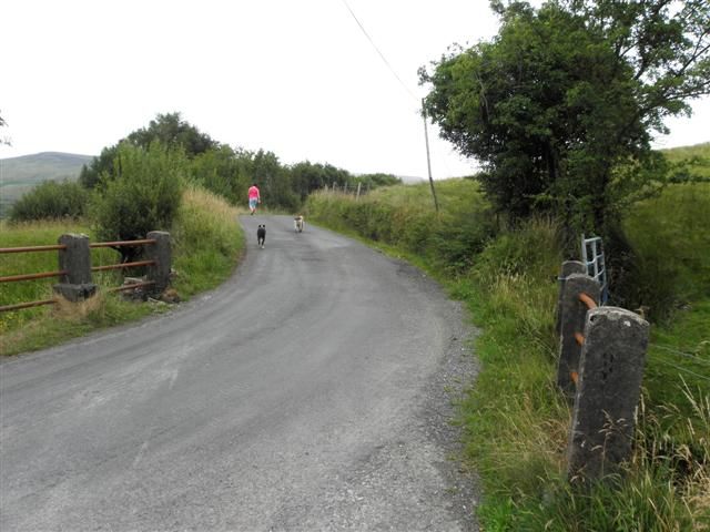 File:Road at Curraghglass (geograph 3586592).jpg