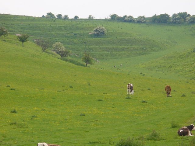 File:Strip Lynchets - geograph.org.uk - 816273.jpg