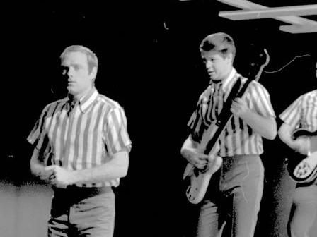 File:The Beach Boys TV (Mike and Brian).jpg