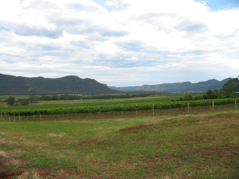 File:Vineyards in BrokeFordwich Wine District.jpg