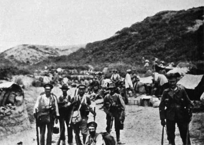 File:Wellington Mounted Rifles Gallipoli.jpg