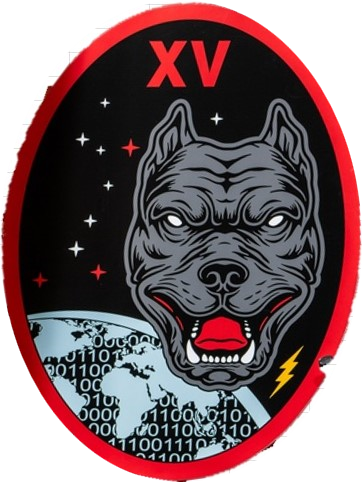 File:15th Cyberspace Squadron emblem.png