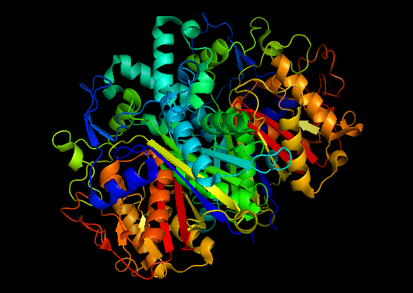 File:Beta-ketoacyl-ACP synthase II.png