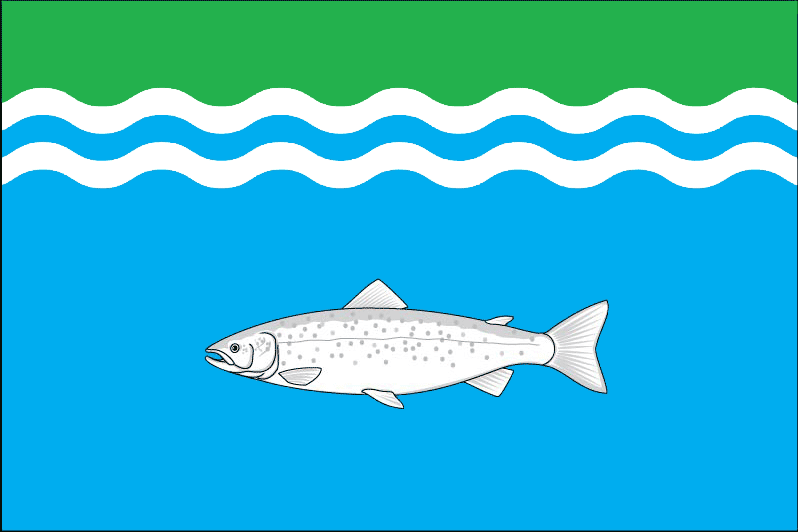 File:Flag of Onezhsky rayon (Arkhangelsk oblast).png