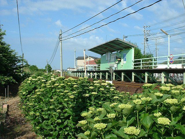 File:Kiga-koko-mae stn.jpg