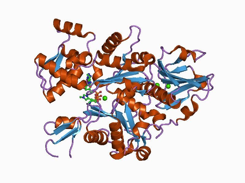 File:PDB 1c0g EBI.jpg