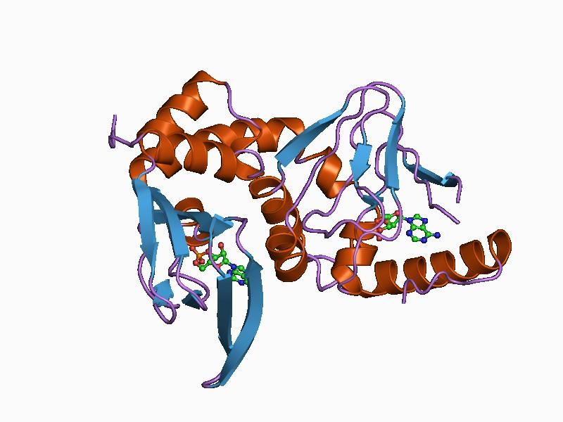 File:PDB 1cx4 EBI.jpg