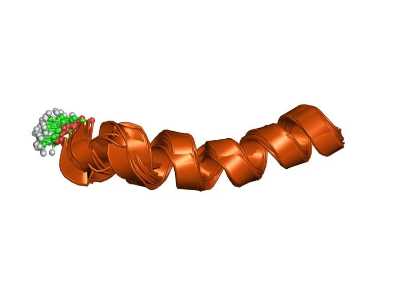 File:PDB 1fi0 EBI.jpg