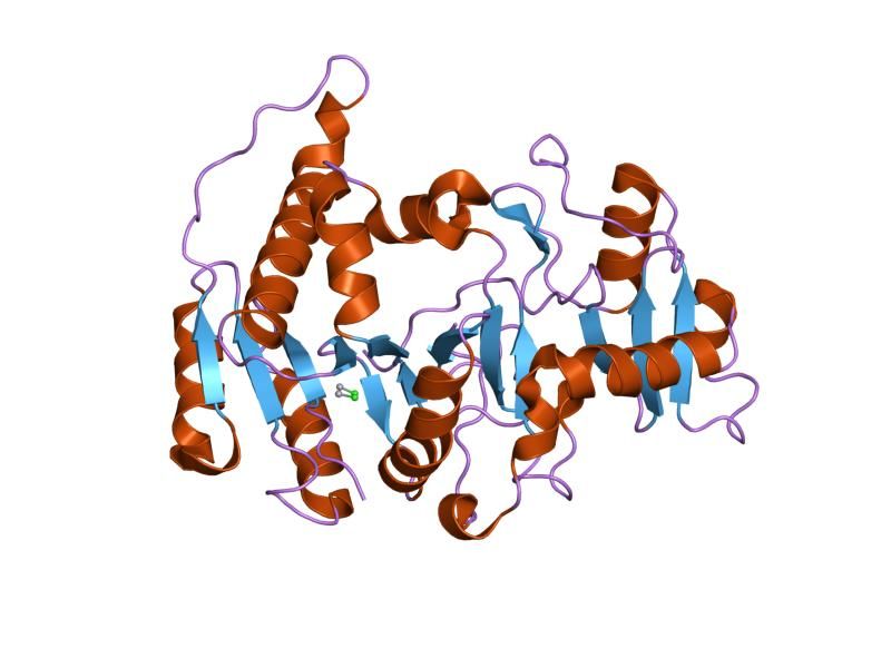 File:PDB 1fo8 EBI.jpg