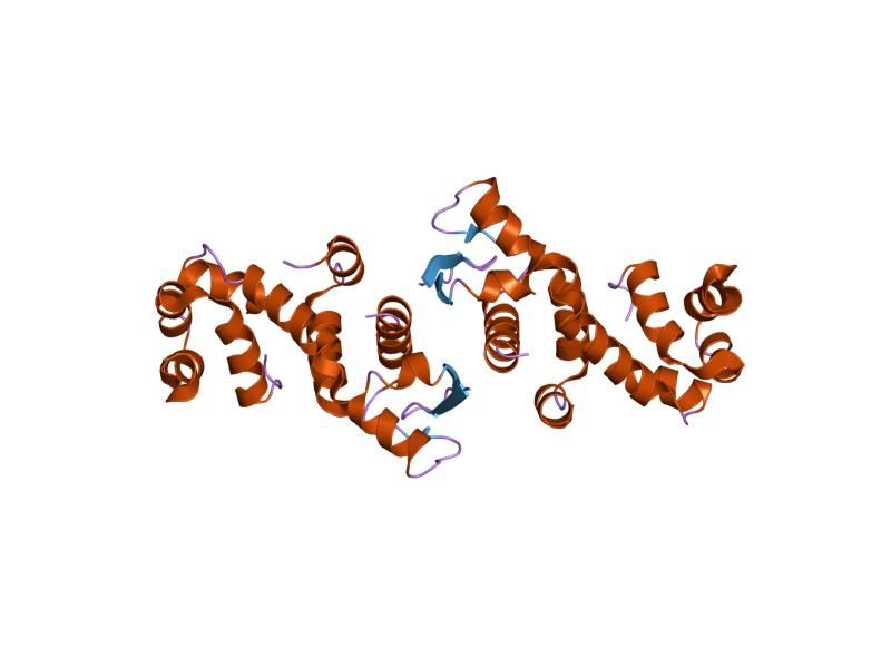 File:PDB 1fs1 EBI.jpg