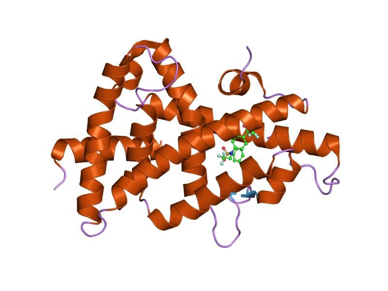 File:PDB 1upw EBI.jpg