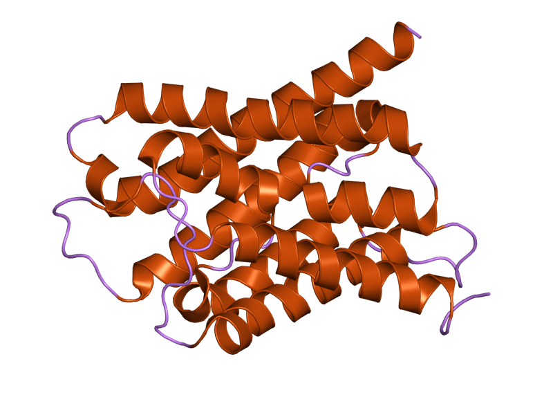 File:PDB 2d57 EBI.png