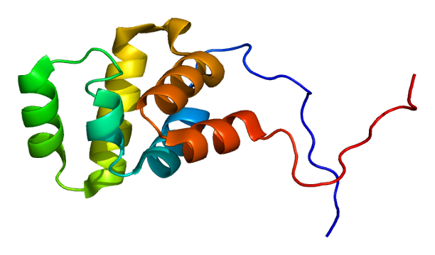 File:Protein THOC1 PDB 1wxp.png