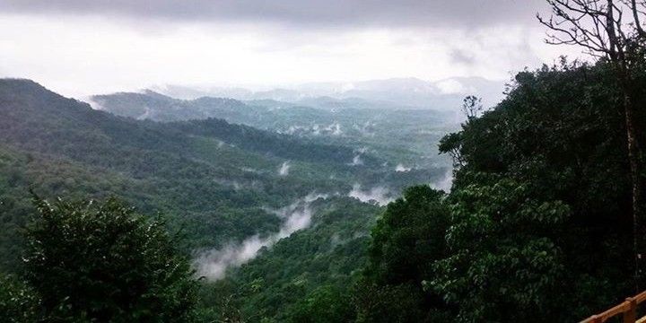 File:Aghanashini Valley.jpg