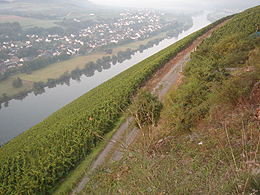 File:Brauneberg Mosel.png