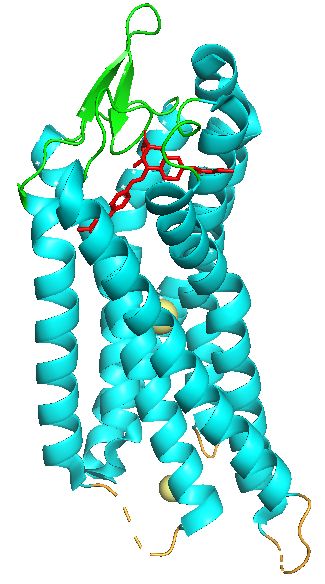 File:PAR1 Vorapaxar 3.jpg