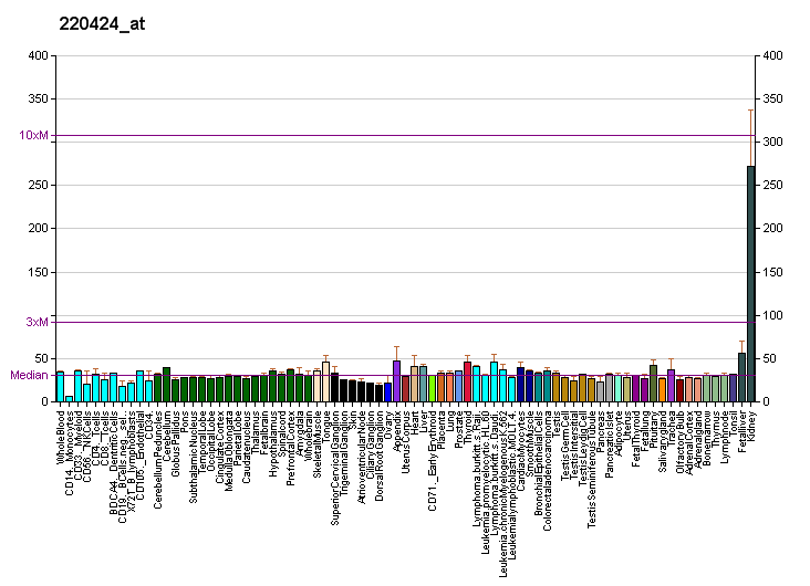 File:PBB GE NPHS2 220424 at fs.png