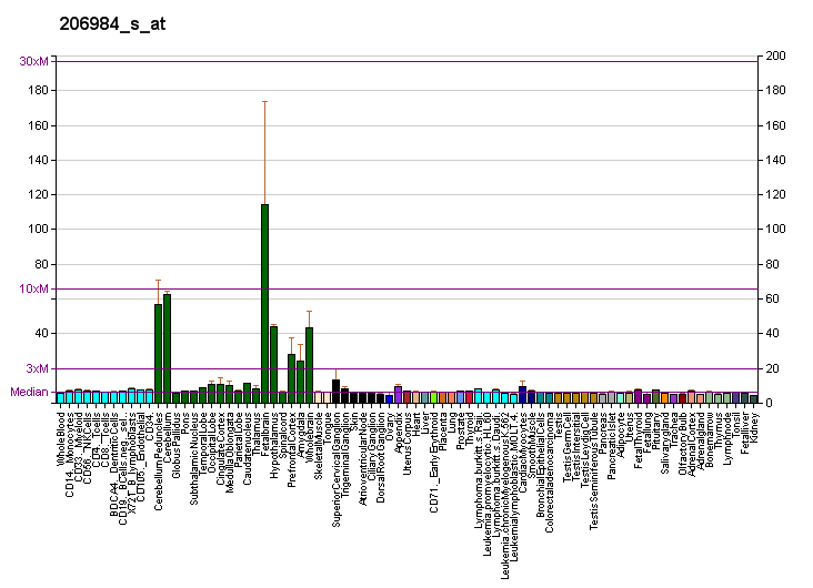 File:PBB GE RIT2 206984 s at fs.png