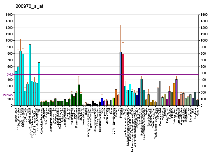 File:PBB GE SERP1 200970 s at fs.png