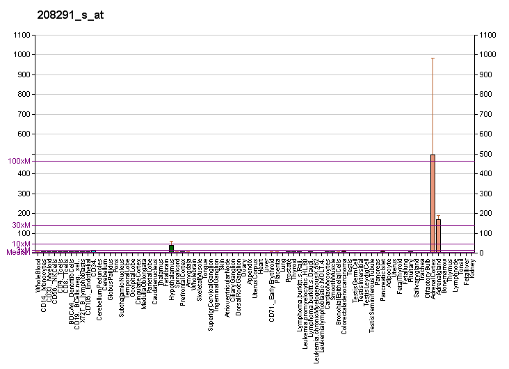 File:PBB GE TH 208291 s at fs.png