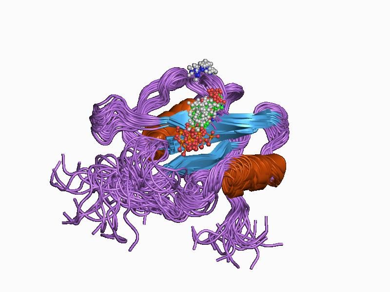 File:PDB 1csy EBI.jpg