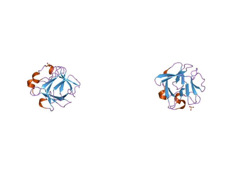 File:PDB 1k5v EBI.jpg