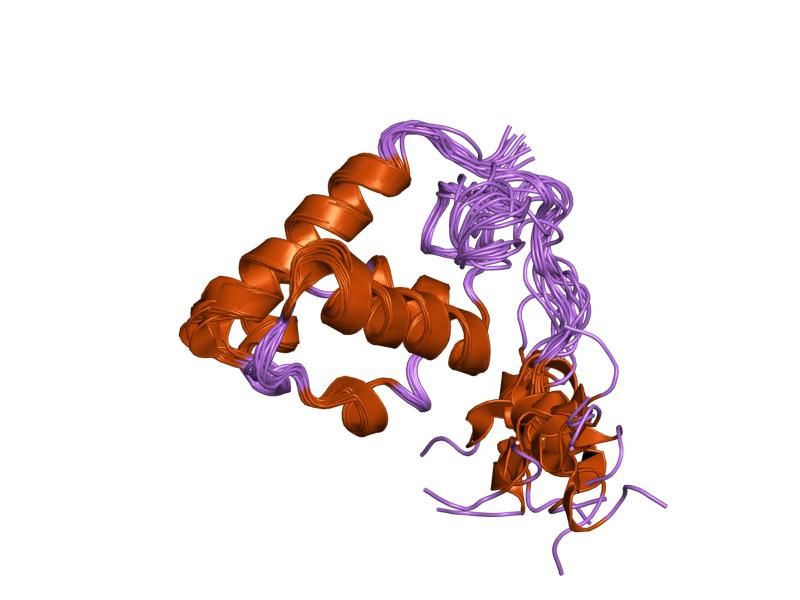 File:PDB 1sxe EBI.jpg