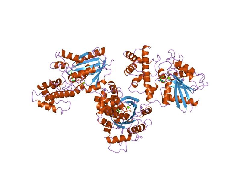 File:PDB 1tnd EBI.jpg