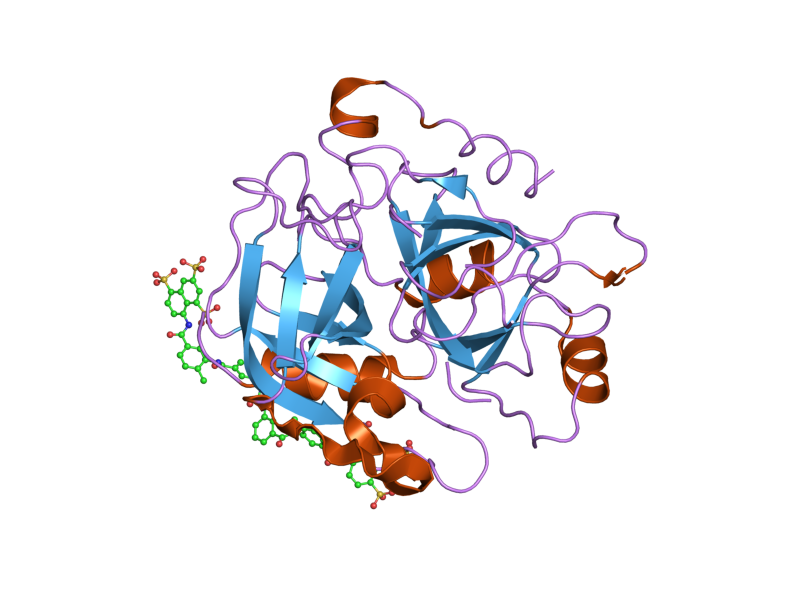 File:PDB 2h9t EBI.png