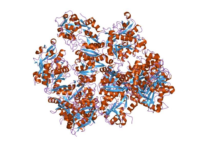 File:PDB 2o7u EBI.png