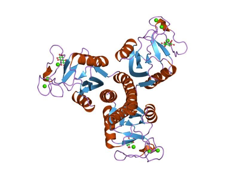 File:PDB 2os9 EBI.jpg