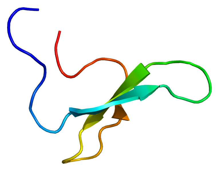 File:Protein NEDD4L PDB 1wr3.png