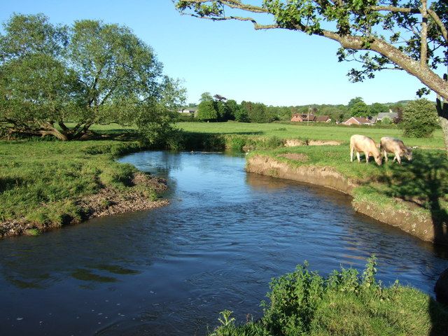 File:River Axe - geograph.org.uk - 440559.jpg