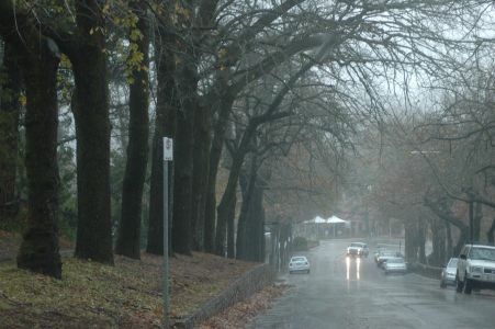 File:Strl druids avenue rain.jpg