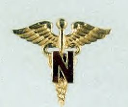 File:WWII Army Nurse badge.jpg