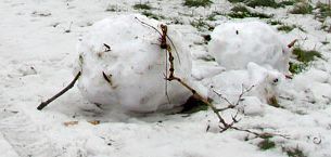 File:A snowman's demise - crop.jpg