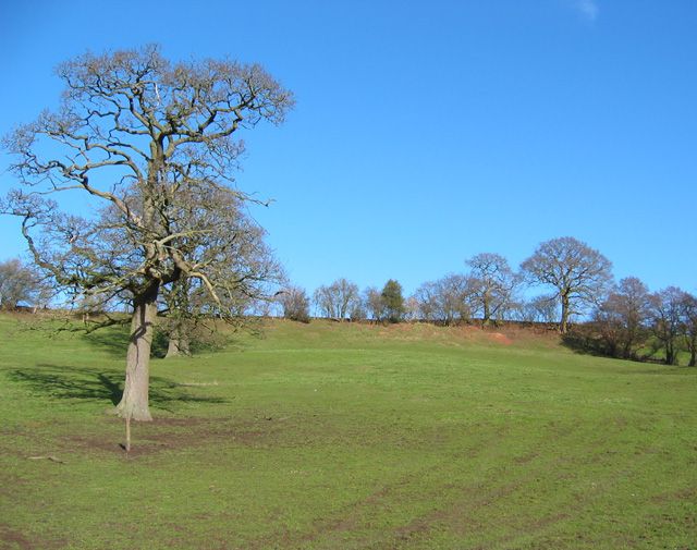 File:Agden - Pasture near Sandholes.jpg