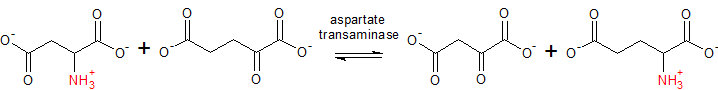 File:Aspartate aminotransferase reaction.png