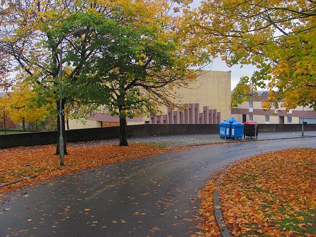 File:Autumn colours, Kildrum (geograph 2240972).jpg