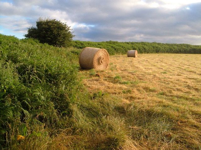 File:Halwell Camp - geograph.org.uk - 210337.jpg