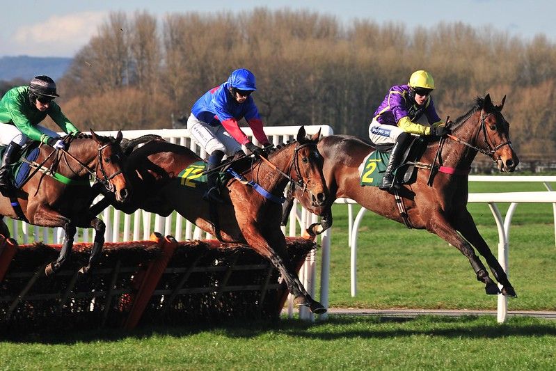 File:Horses jump over hurdle.jpg