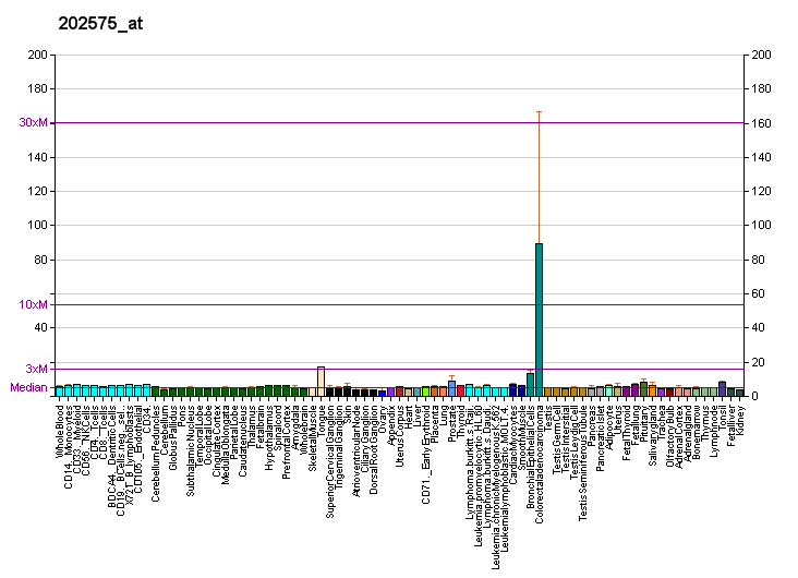 File:PBB GE CRABP2 202575 at fs.png