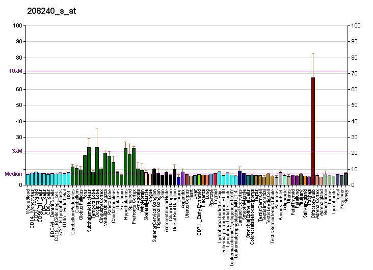 File:PBB GE FGF1 208240 s at fs.png