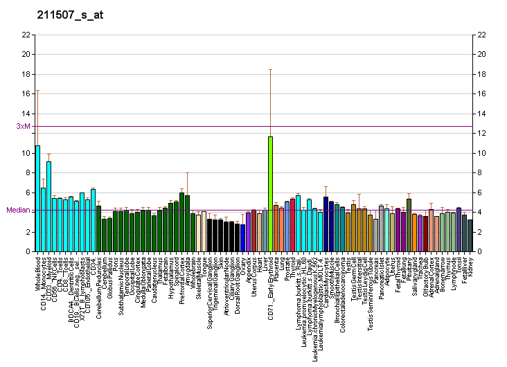 File:PBB GE MTMR3 211507 s at fs.png